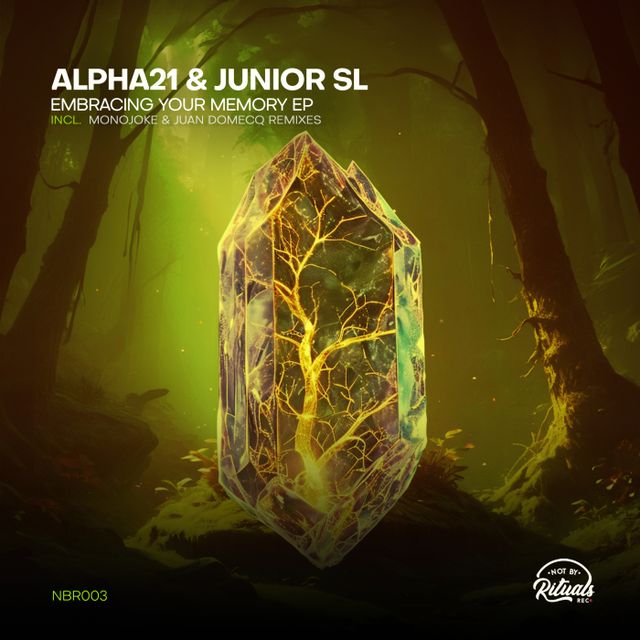 Embracing Your Memory cover