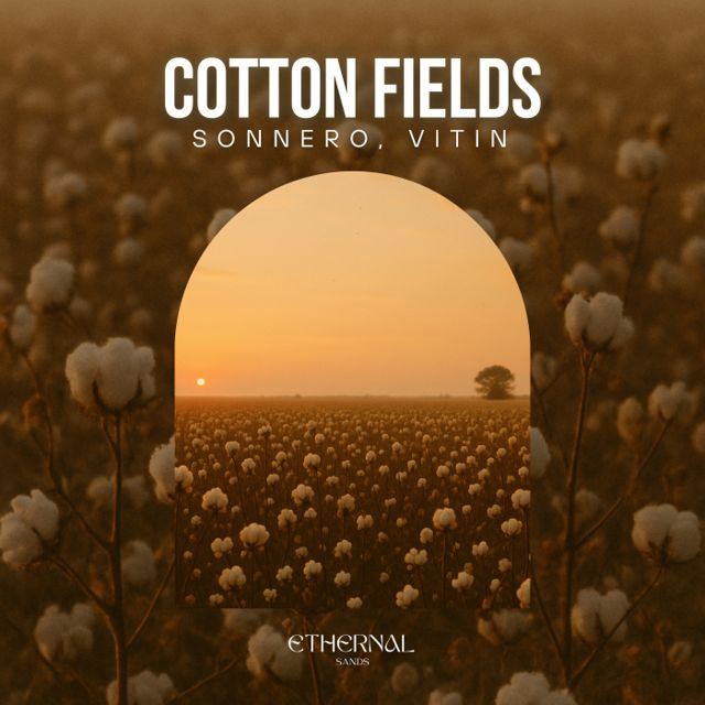 Cotton Fields cover