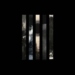 Lights of Fire cover