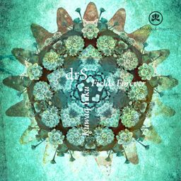 Fields Forever / Kuwaq Yaku cover