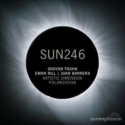 Artistic Dimension | Polarization cover