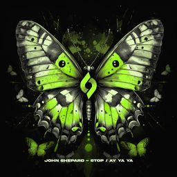 Stop / Ay Ya Ya cover