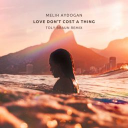 Love Don't Cost a Thing (Toly Braun Remix) cover