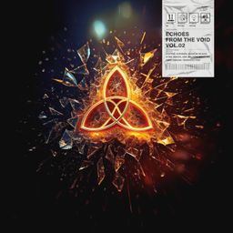 Echoes From the Void - 02 cover