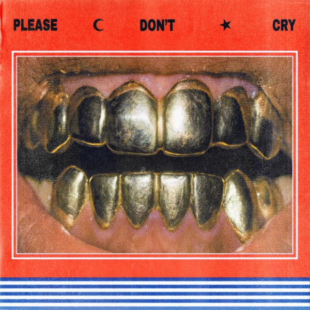 Please Don't Cry cover