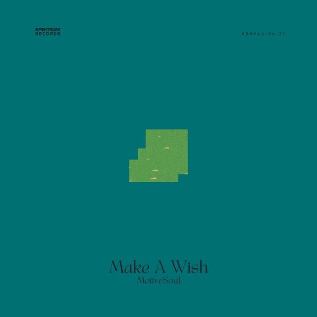 Make a Wish cover