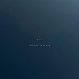 Shy (Phoenix M Remix) cover