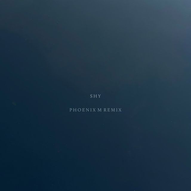 Shy (Phoenix M Remix) cover