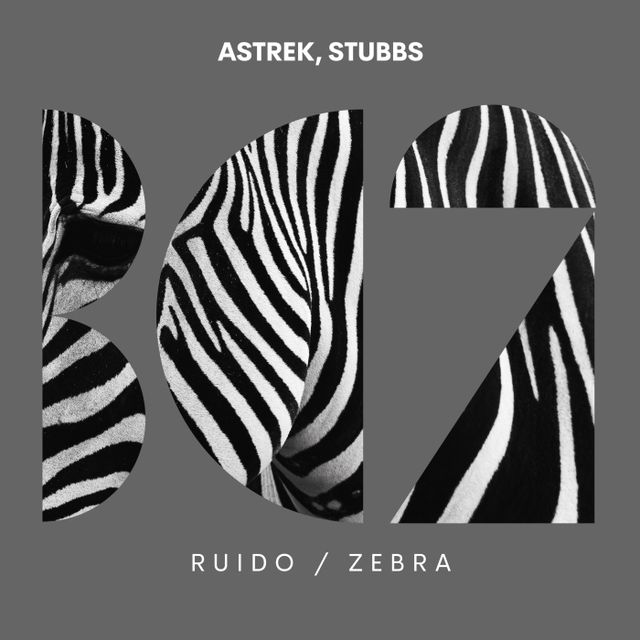Ruido / Zebra cover