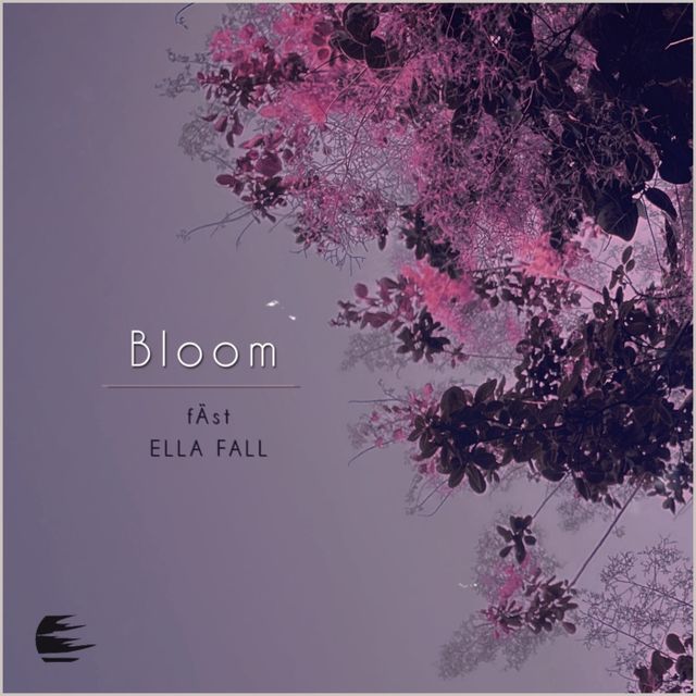 Bloom cover