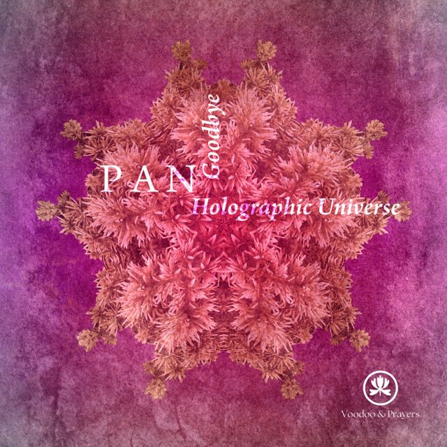 Holographic Universe cover