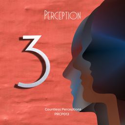 Countless Perceptions 3 cover
