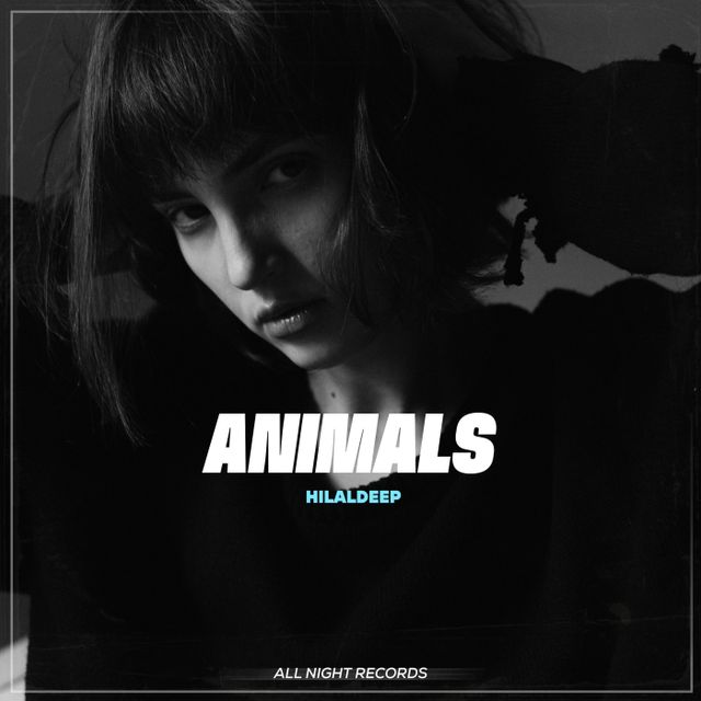 Animals cover