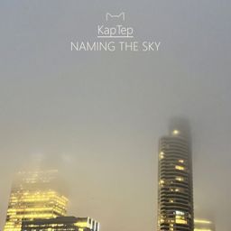 Naming the Sky cover