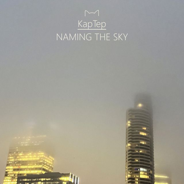 Naming the Sky cover