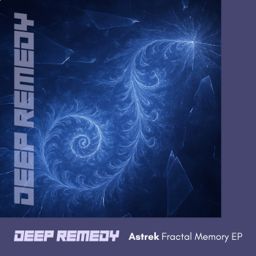 Fractal Memory cover
