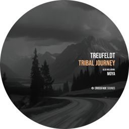 Tribal Journey cover