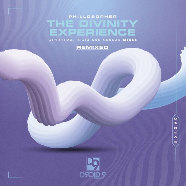 The Divinity Experience cover