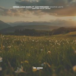 Sensitive Lights cover