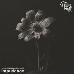 Impudence cover