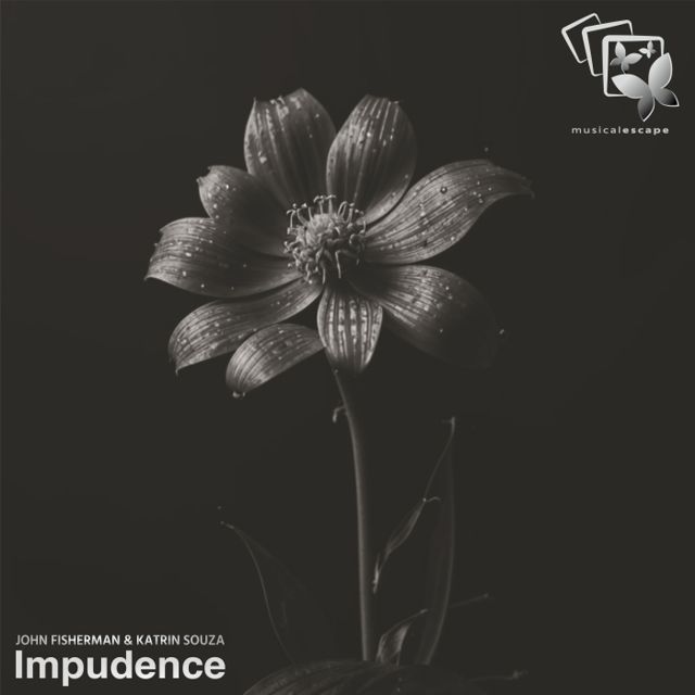 Impudence cover