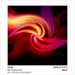 Into the Wild Air cover