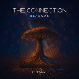 The Connection cover