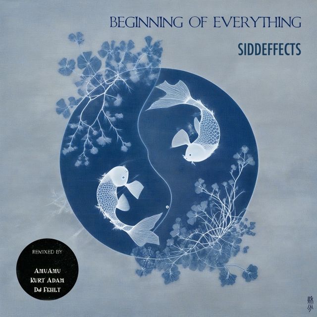 Beginning of Everything cover