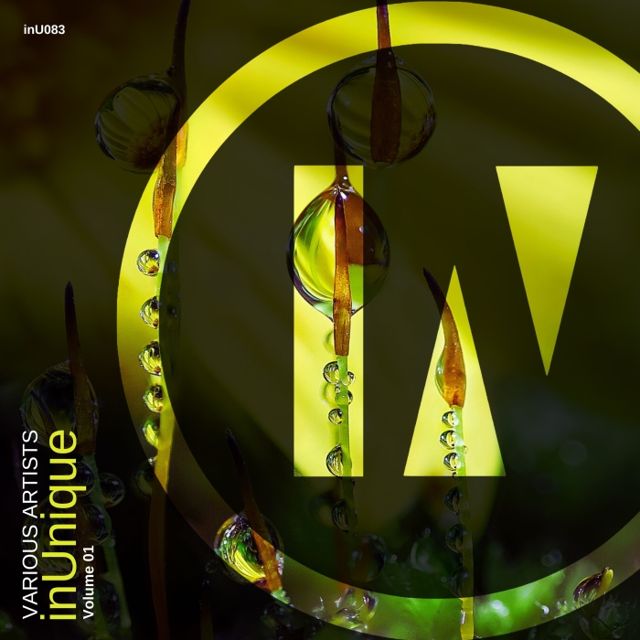 inUnique, Vol. 1 cover