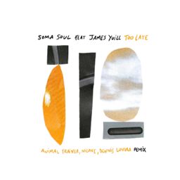 Too Late feat. James Yuill (Animal Trainer, Dennis Louvra Remixes) cover