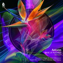 Birds of Paradise Remixed cover