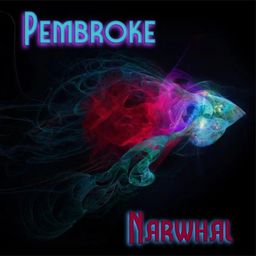 Narwhal cover