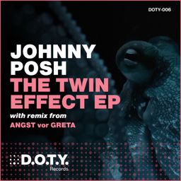 The Twin Effect cover