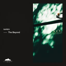 The Beyond cover
