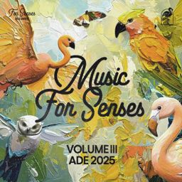 Music for Senses - ADE 2025 Compiled by Progressive Sensations cover