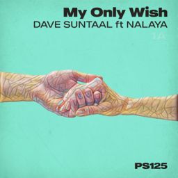 My Only Wish cover