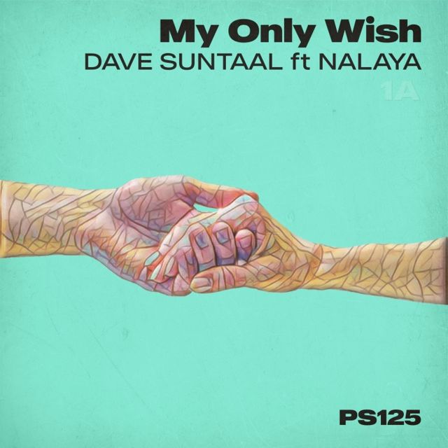 My Only Wish cover