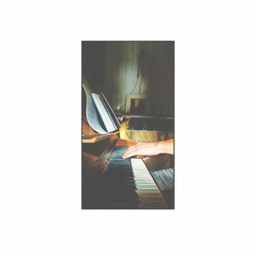 Dear Sleeping Fox cover