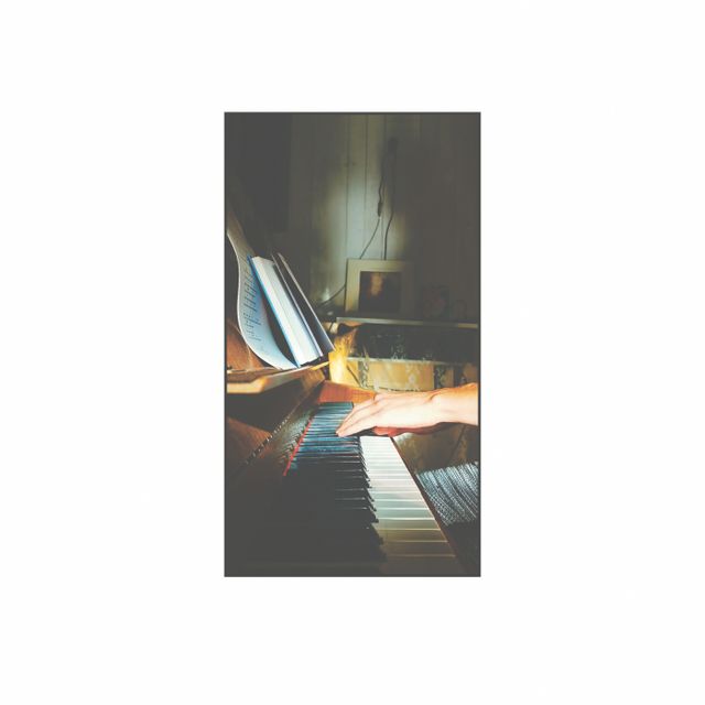 Dear Sleeping Fox cover