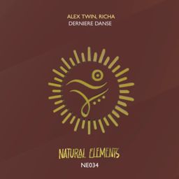 Derniere Danse cover