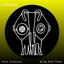 Bring Back Peace cover