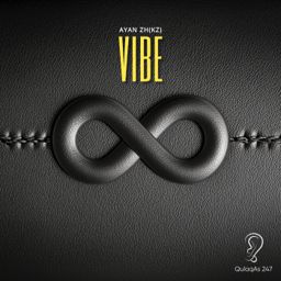 Vibe cover