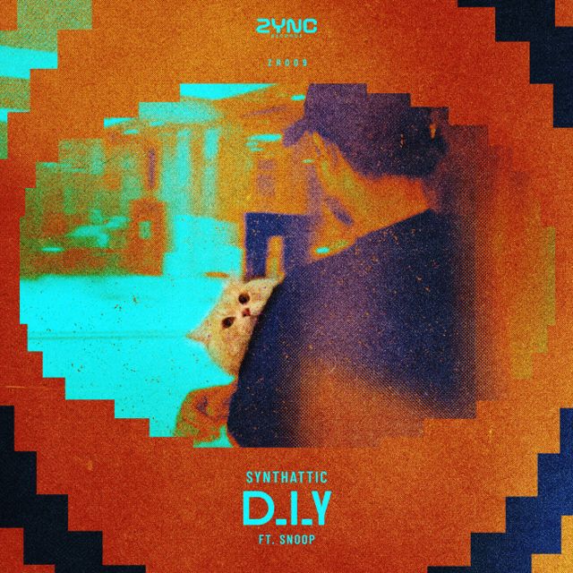 D.I.Y (W-Snoop) cover