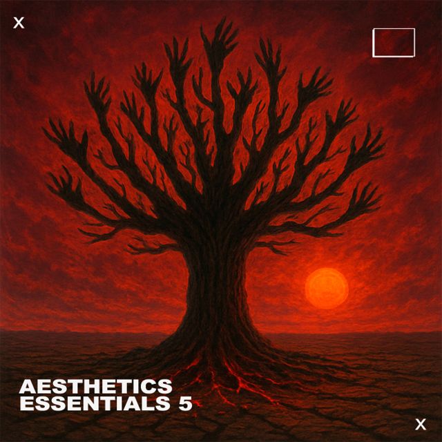 Aesthetics Essentials 5 cover