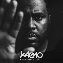 Nefarious Things cover