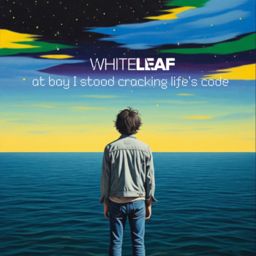 At Bay I Stood, Cracking Life's Code cover