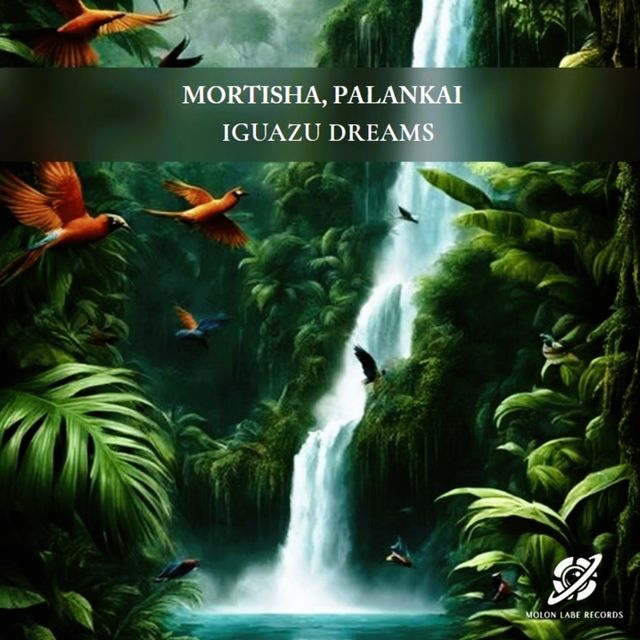 Iguazu Dreams cover