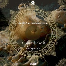 I Can't Take It Anymore cover