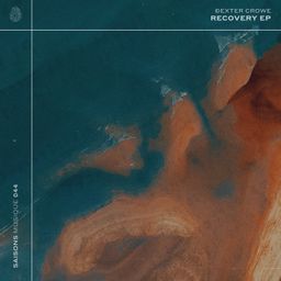 Recovery cover