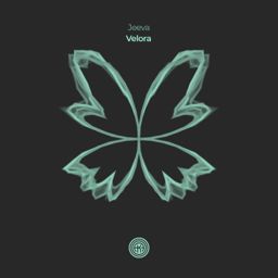 Velora cover